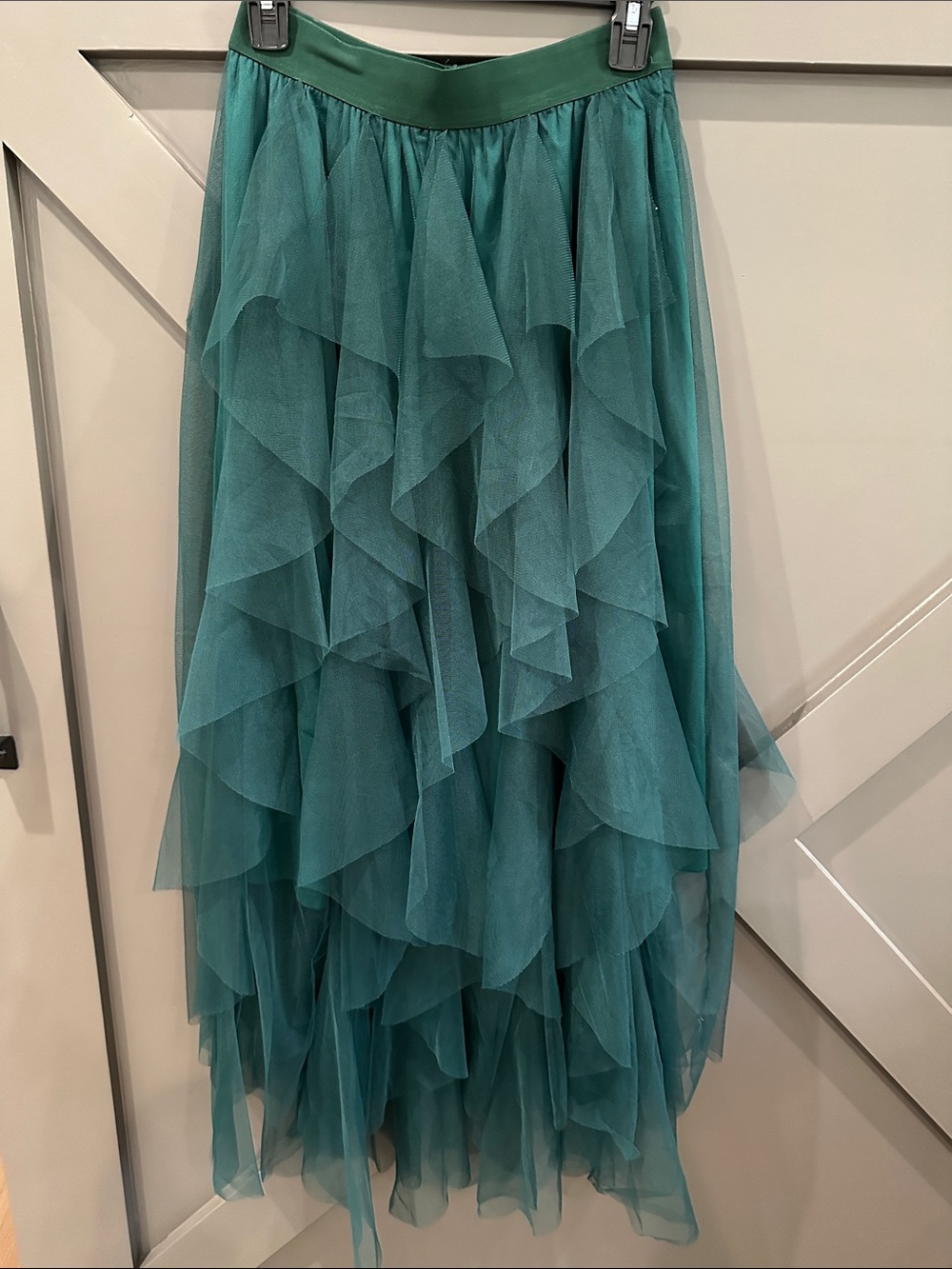 Pink Lily Magical Feeling Evergreen Tulle Maxi Skirt